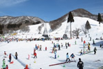 滋賀観光スキー
